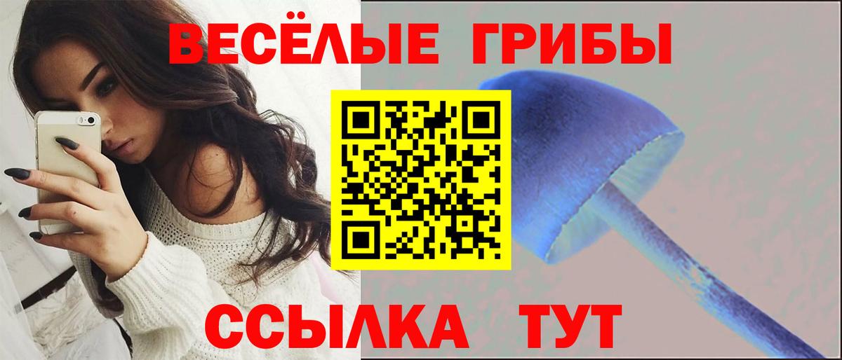 Моздок  Псилоцибиновые грибы ЛСД  Вход с VPN 